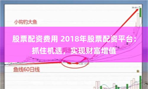 股票配资费用 2018年股票配资平台：抓住机遇，实现财富增值