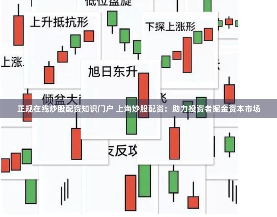 正规在线炒股配资知识门户 上海炒股配资：助力投资者掘金资本市场