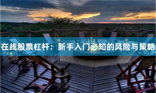 在线股票杠杆：新手入门必知的风险与策略